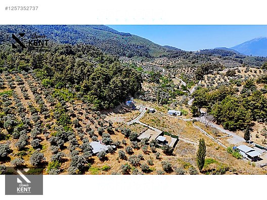 Kemalpaşa Yukarıkızılca Satılık 303 m2 Bahçe Elektrik Su Yol - İZMİR KEMALPAŞA fotoğraf 29