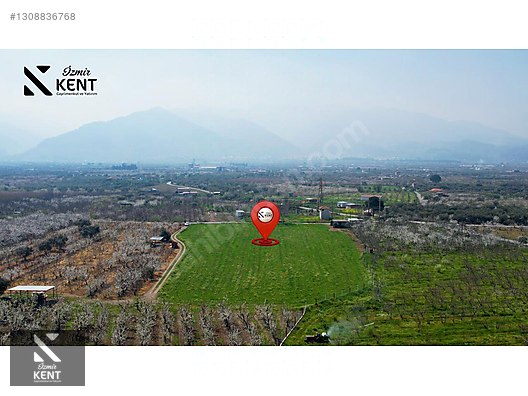 Kemalpaşa Ören 75. Yıl Satılık 8770 m2 Tek Tapu Tarla - İZMİR KEMALPAŞA fotoğraf 23
