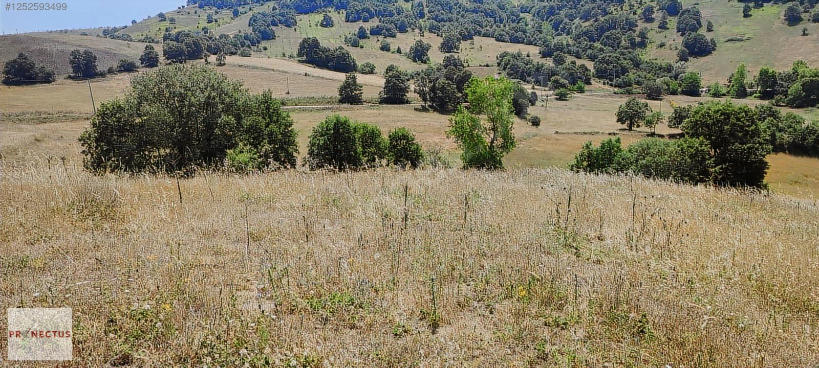 ÇAMDİBİ MAHALLESİ'NDE 8843 M2 SATILIK %5 İMARLI FIRSAT ARSA - KOCAELİ KARAMÜRSEL fotoğraf 3