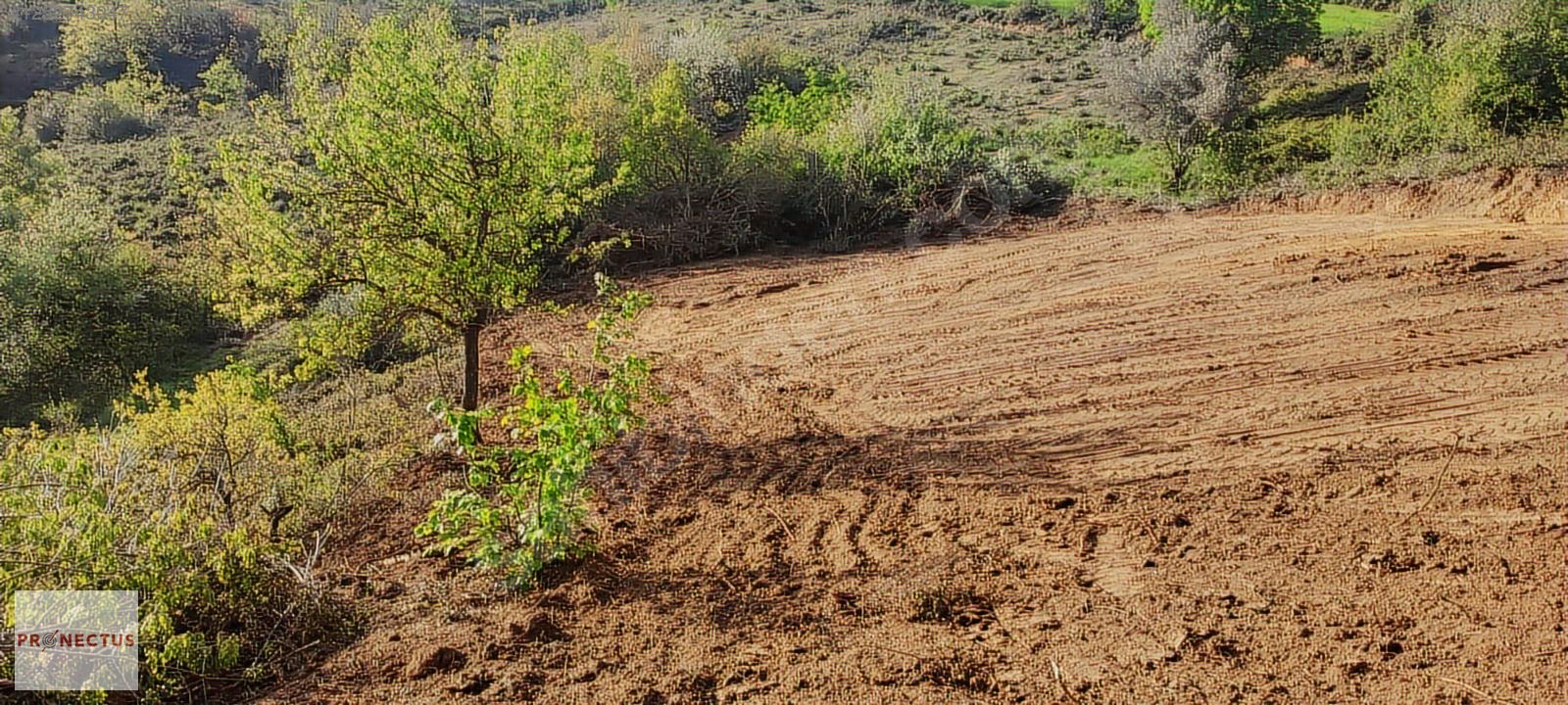 ÇAMDİBİ BOZKURT MAHALLESİNDE 665 M2 SATILIK TARLA - KOCAELİ KARAMÜRSEL fotoğraf 7