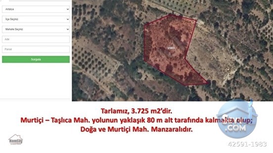 Murtiçine Yakın Konumda Acil Satılık Tarla - ANTALYA AKSEKİ fotoğraf 2