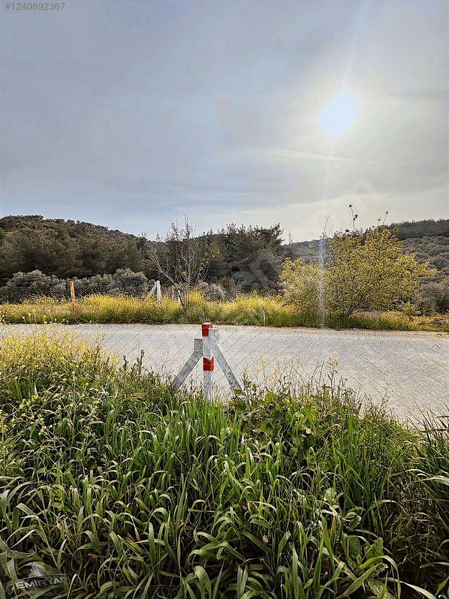 EMİR GAYRİMENKUL'DEN KEMALPAŞA YUKARIKIZILDA 3675 m2 BAHÇE - İZMİR KEMALPAŞA fotoğraf 2