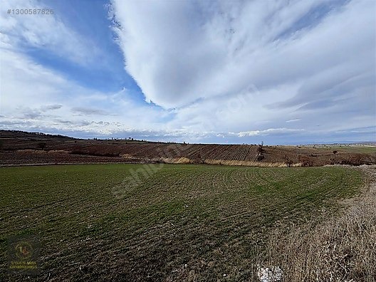 SAMSUN HAVZA KOCAPINAR'DA 4.754 M2 UYGUN ARSA - SAMSUN HAVZA fotoğraf 10