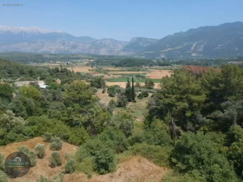 SEYDİKEMER CAYKENARİNDA İMARLİ TARLA - MUĞLA SEYDİKEMER fotoğraf 3