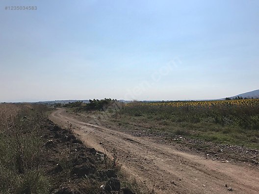 BURSA KARACABEY HARMANLI KÖYÜNDE 2.500  M² TARLA SATILIKTIR - BURSA KARACABEY fotoğraf 4
