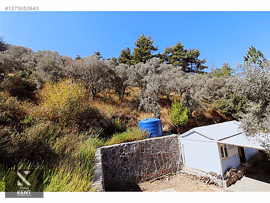 Kemalpaşa Aşağıkızılca Satılık 4536 m2 Bahçe - İZMİR KEMALPAŞA fotoğraf 5