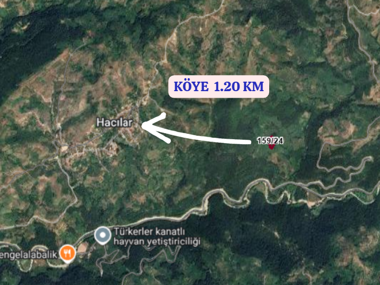 DÜZCE YIĞILCA HACILAR  KÖYÜNDE 4.379  M²  FINDIK BAHÇESİ  SATILIKTIR - DÜZCE YIĞILCA fotoğraf 4