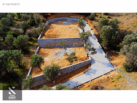 Kemalpaşa Sütçüler Satılık 873 m2 Zeytinlik - İZMİR KEMALPAŞA fotoğraf 14