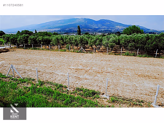 Kemalpaşa Aşağıkızılca Satılık Bahçe 1.200 m2 Tek Tapu - İZMİR KEMALPAŞA fotoğraf 15