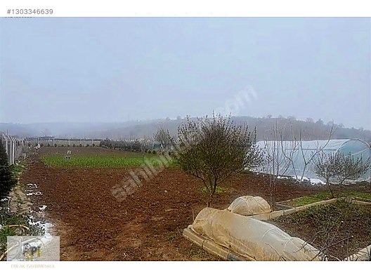 Satılık Bahçeli Ev - BİLECİK SÖĞÜT fotoğraf 8