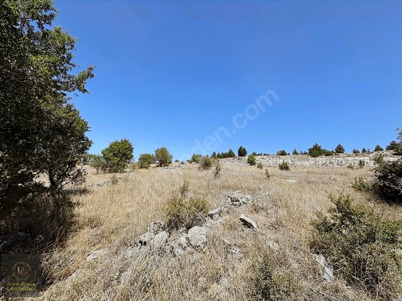 BOLU KIBRISCIK SARIKAYA'DA 8.370 M2 UYGUN ARSA - BOLU KIBRISCIK fotoğraf 10