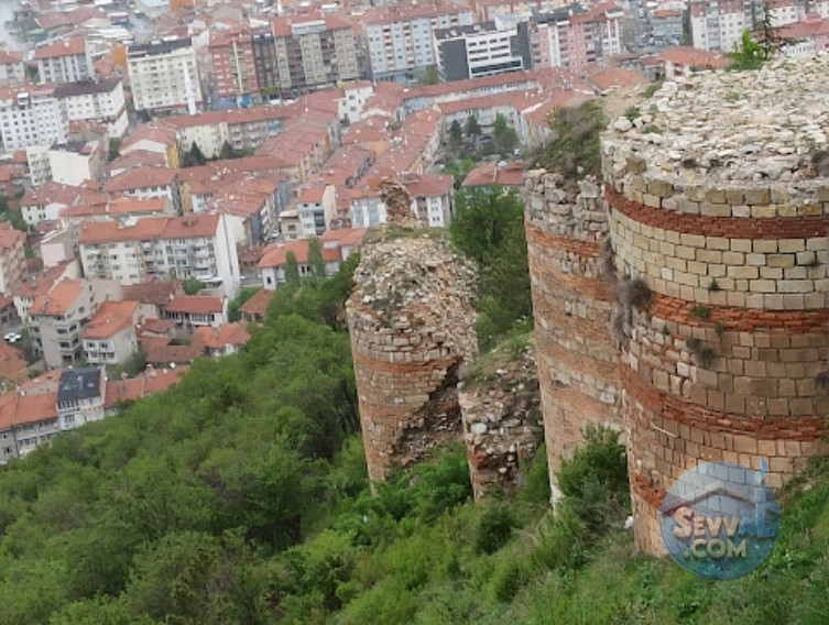 KÜTAHYA ŞAPHANE SUBAŞI KÖYÜNDE 2.217 M² TARLA SATILIKTIR - Kütahya Şaphane fotoğraf 3