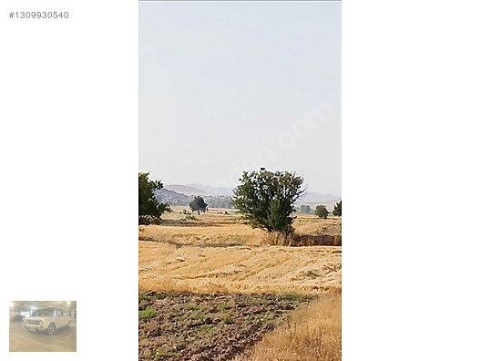230m tek tapuSalda gölüne 10km.Yeşilova bedirlide - BURDUR YEŞİLOVA fotoğraf 6