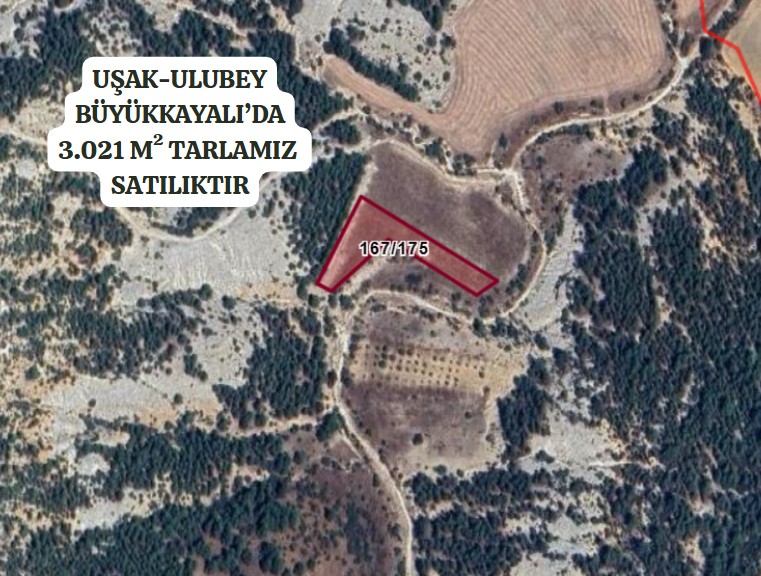 UŞAK ULUBEY BÜYÜKKAYALI KÖYÜ’NDE 3.021 M² TARLA SATILIKTIR - UŞAK ULUBEY fotoğraf 2
