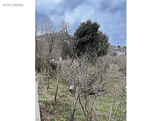 ESPİYE ÇAM MAHHALLESİ AYRIK NİZAM 7 KAT İMARLI FIRSAT ARSALAR - GİRESUN ESPİYE fotoğraf 9