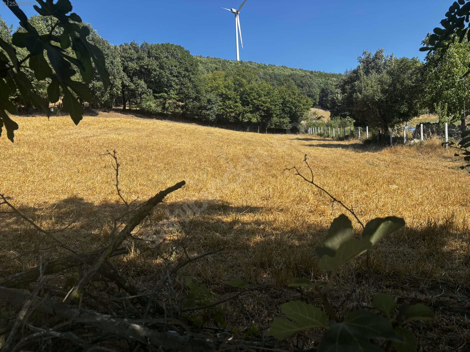 BALIKESİR KARESİ YEROLUK  KÖYÜNDE  2.621 M²  ARSA  SATILIKTIR - BALIKESİR KARESİ fotoğraf 10