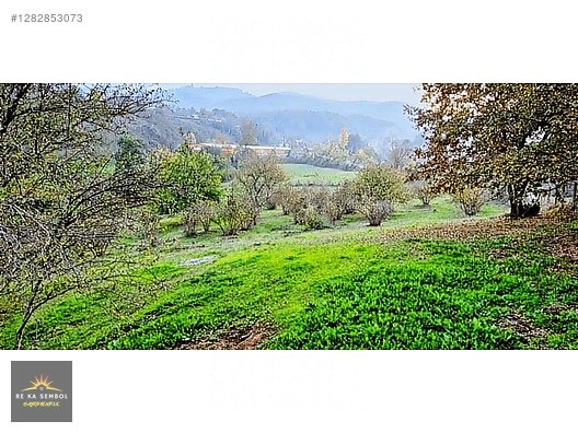 SAKARYA-KARAPÜRÇEK-MESUDİYE MAHALLE MERKEZİNDE SATILIK TARLA - SAKARYA KARAPÜRÇEK fotoğraf 10