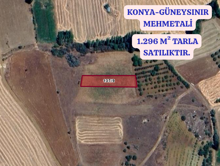 KONYA GÜNEYSINIR MEHMETALİ  KÖYÜNDE 1.296 M²  TARLA  SATILIKTIR - KONYA GÜNEYSINIR fotoğraf 2