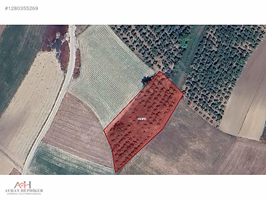 AYHAN HEPDİKer DEN Şehytimarın da yola bir parsel 2880 m2 tarla - SAKARYA KAYNARCA fotoğraf 6