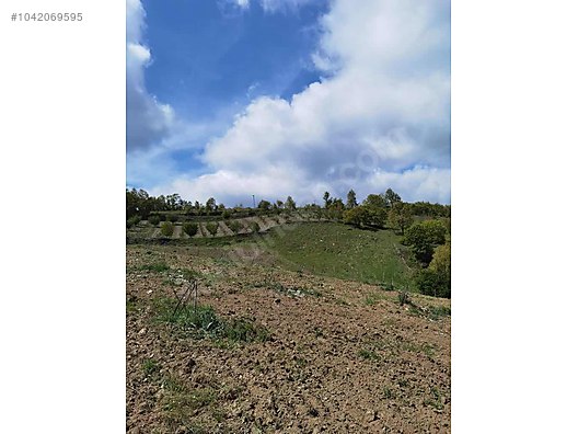 BURSA İZNİK TACİR KÖYÜNDE 13.056 M TARLA SATILIKTIR - BURSA İZNİK fotoğraf 22