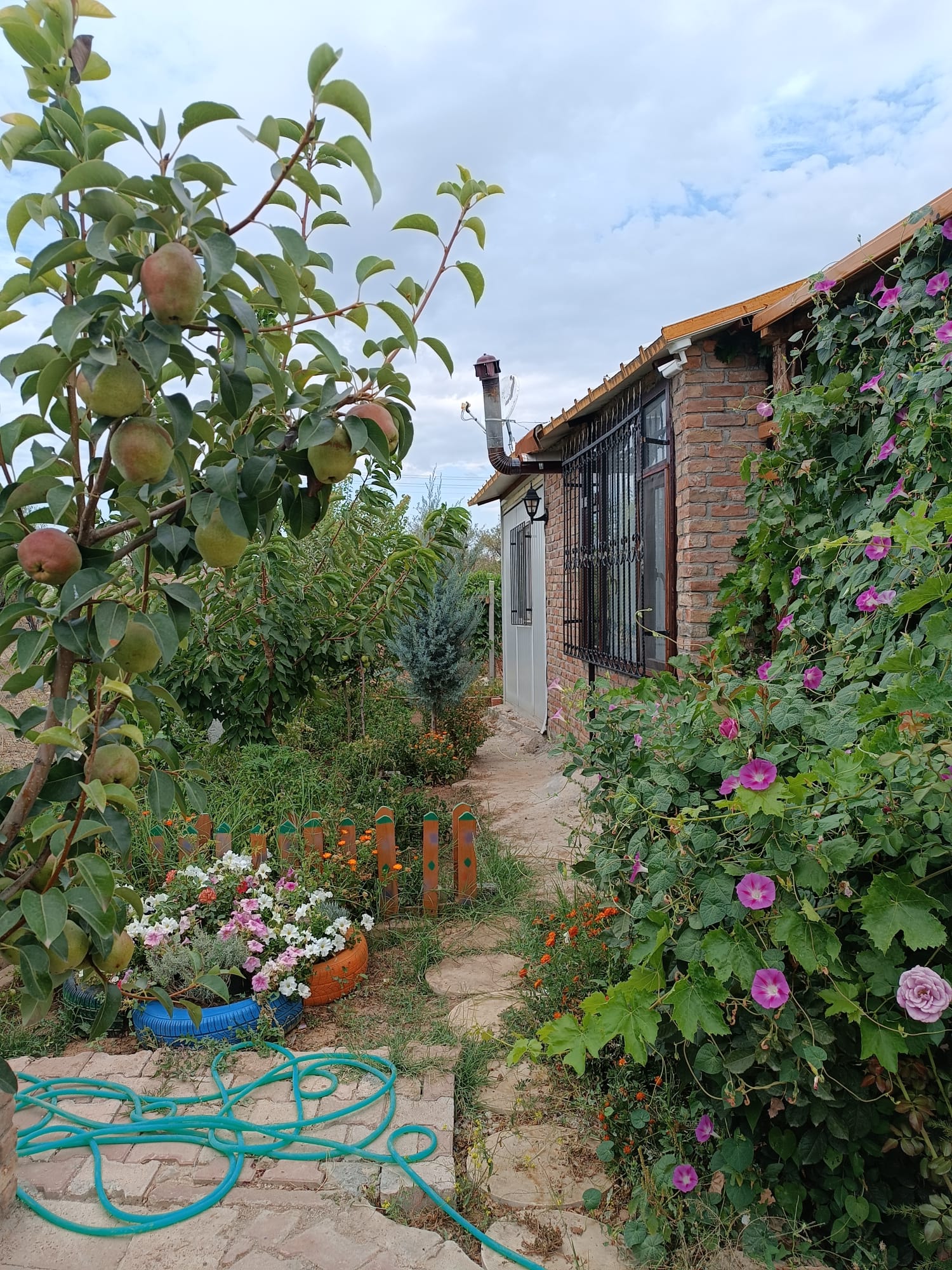 İÇİNDE EVİ ELEKTRİĞİ SUYU OLAN HAZIR KURULU BAHÇE - KONYA MERAM fotoğraf 2