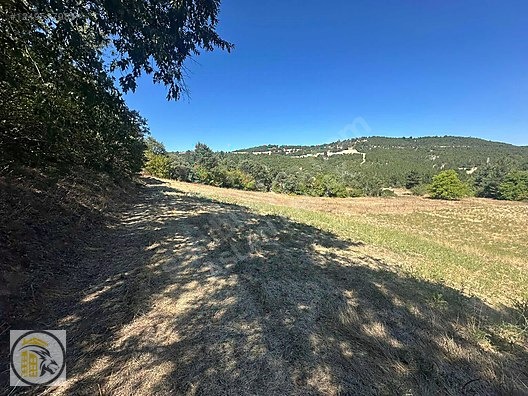 ASLAN EMLAK'TAN SATILIK KÜTAHYA HİSARCIKTA 853 M2 TARLA !!! - KÜTAHYA HİSARCIK fotoğraf 7