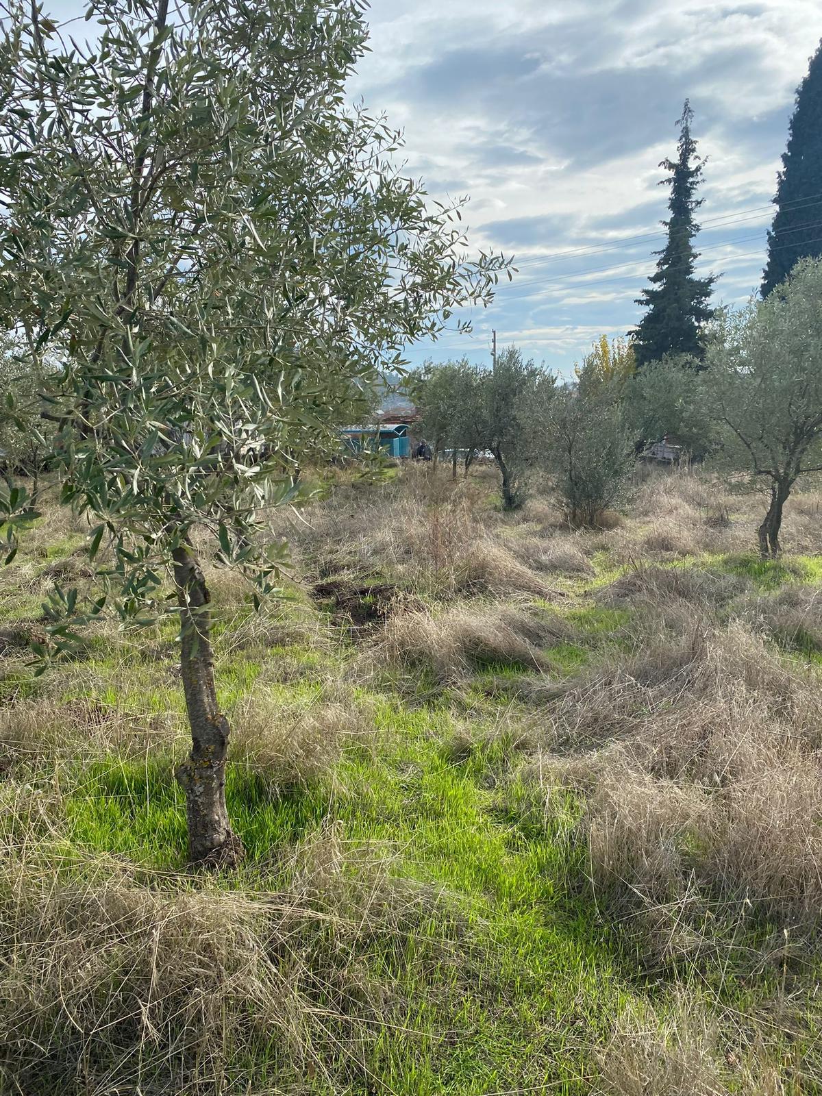 SATILIK 300m2 İmarlı Arsa MANİSA YunusEmre /Karakılıçlı Mah. - MANİSA YUNUSEMRE fotoğraf 7