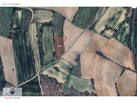 KIRKLARELİ MERKEZ ÜSKÜP MAH.2.477 M2 SATILIK BAHÇE - KIRKLARELİ MERKEZ fotoğraf 3