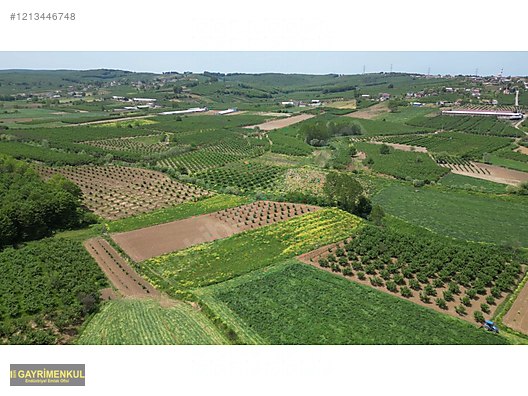YATIRIM FIRSATI 3.962 M² TARLA FERİZLİ SARIAHMETLER MAH. - SAKARYA FERİZLİ fotoğraf 5