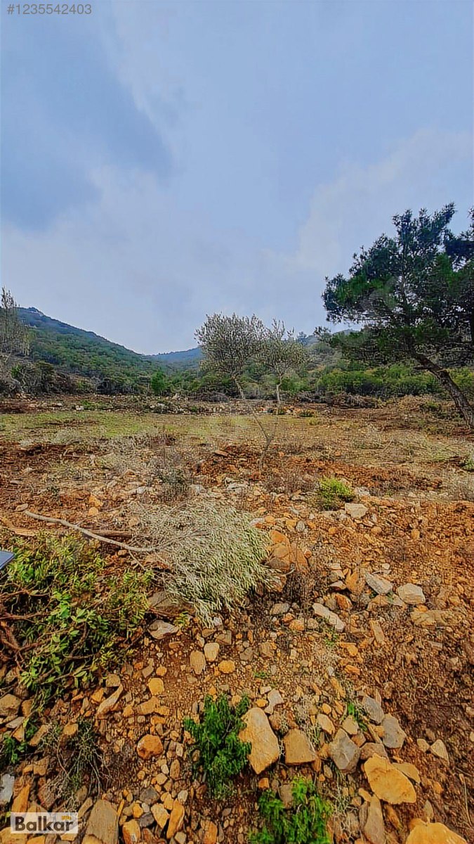 KARABURUN EĞLANHOCA'DA FIRSAT FİYAT 8 DÖNÜM TARLA - İZMİR KARABURUN fotoğraf 5