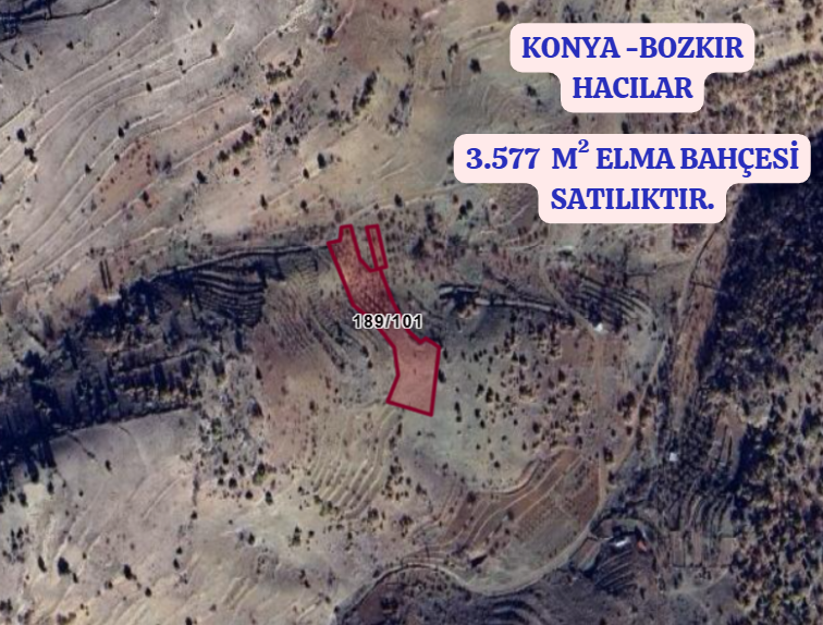   KONYA BOZKIR HACILAR KÖYÜNDE  3.577 M² ELMA BAHÇESİ SATILIKTIR. - KONYA BOZKIR fotoğraf 2