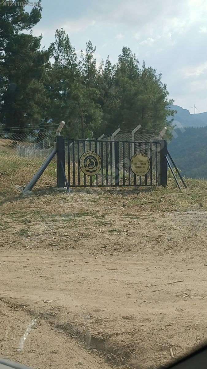 DENİZLİ BABADAĞ KELLECİ KÖYÜNDE  1.586 M²  BAĞ SATILIKTIR - DENİZLİ BABADAĞ fotoğraf 12
