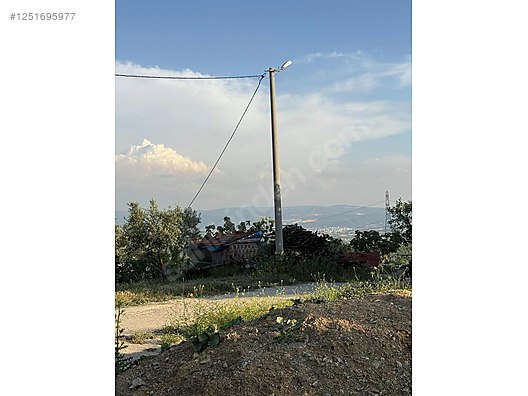BURSA MUDANYA YAYLACIK KÖYÜNDE YAYLACIK 792 M² ZEYTİNLİK SATILIKTIR. - BURSA MUDANYA fotoğraf 8