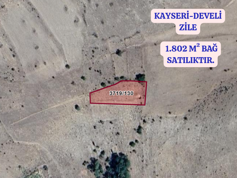 KAYSERİ DEVELİ ZİLE   KÖYÜNDE  1.802  M²  BAĞ  SATILIKTIR - KAYSERİ DEVELİ fotoğraf 2
