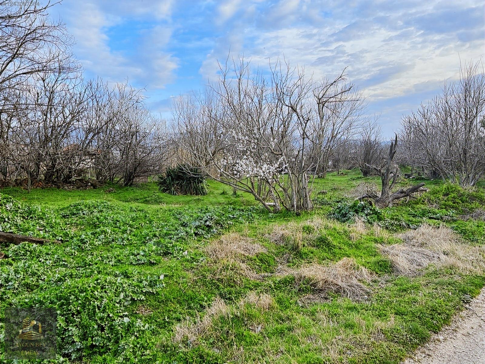 Bursada 2 Adet Müstakil Ev & 1.041 m² Arazi Yenilemeye ve - BURSA MUSTAFAKEMALPAŞA fotoğraf 4