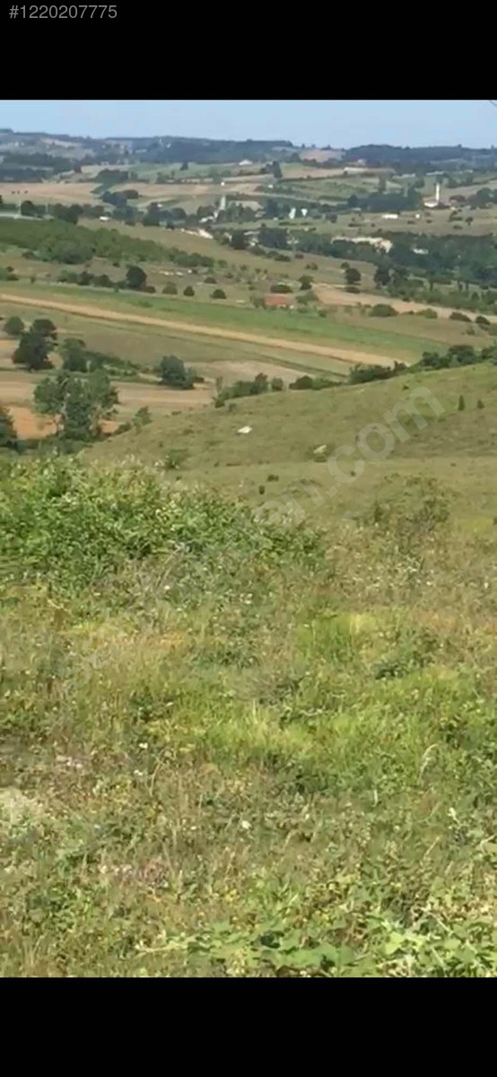 ACİL 14 DÖNÜM ARAÇ TAKASLII, FIRSAT FİYATINA. - KOCAELİ KANDIRA fotoğraf 2