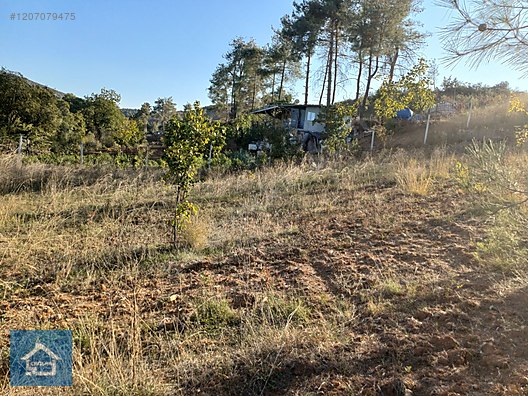 ÇAĞLAR'DAN TOPRAKDERE DE 823m2 MÜSTAKİL TARLA YOL+SU VAR - BURSA YENİŞEHİR fotoğraf 2