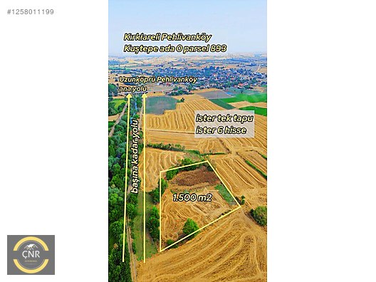 KIRKLARELİ MUAZZAM KONUMDA KÖYE 5 DK YÜRÜME MESAFESİNDE - KIRKLARELİ PEHLİVANKÖY fotoğraf 5
