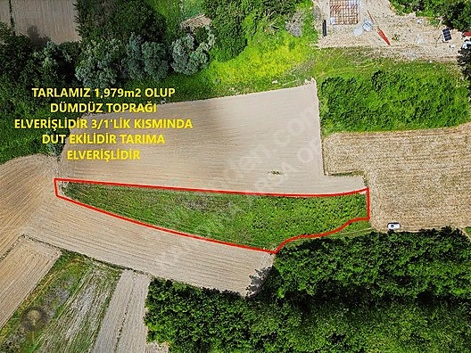 SANAYİNİN DİBİNDE ELMACIK KÖYÜN YANINDA 2 DÖNÜM FIRSAT TARLAAA - KOCAELİ KANDIRA fotoğraf 2