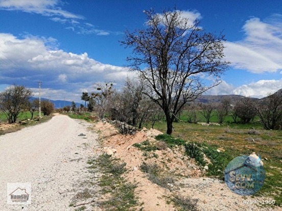 Çevreyoluna Çok Yakın 5 Dönüm Bahçe, 2 tarafı da yol - ANTALYA KORKUTELİ fotoğraf 12