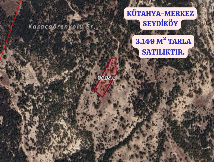 KÜTAHYA MERKEZ SEYDİKÖY  KÖYÜNDE 3.149  M² TARLA  SATILIKTIR - KÜTAHYA MERKEZ fotoğraf 2