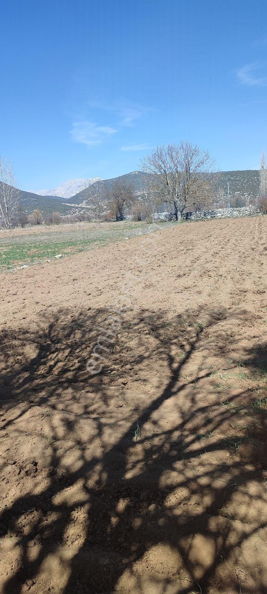 Burdur Ağlasun Hisarköy Muhteşem Konumda Elektrik Yol Su Sorunu Olmayan Satılık  - BURDUR AĞLASUN fotoğraf 6