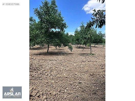 İNEGÖL ÇİTLİ'MAH 11,000m² SATILIK BAKIMLI CEVİZ BAHÇESİ - BURSA İNEGÖL fotoğraf 12