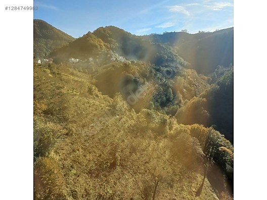 TİREBOLU CİVİL KÖYÜNDE SATILIK İÇİNDE EV OLAN FINDIK BAHÇESİ - GİRESUN TİREBOLU fotoğraf 30
