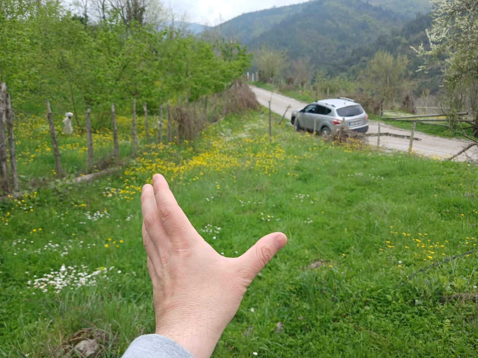 İlan Resmi