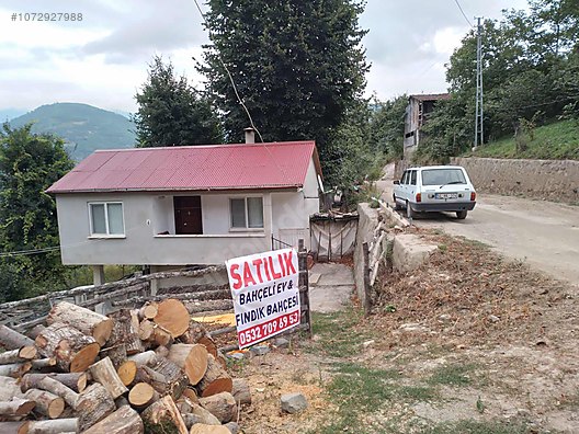 1500 m2 arsalı müstakil ev + 3200 m2 fındık bahçesi - ARTVİN BORÇKA fotoğraf 2