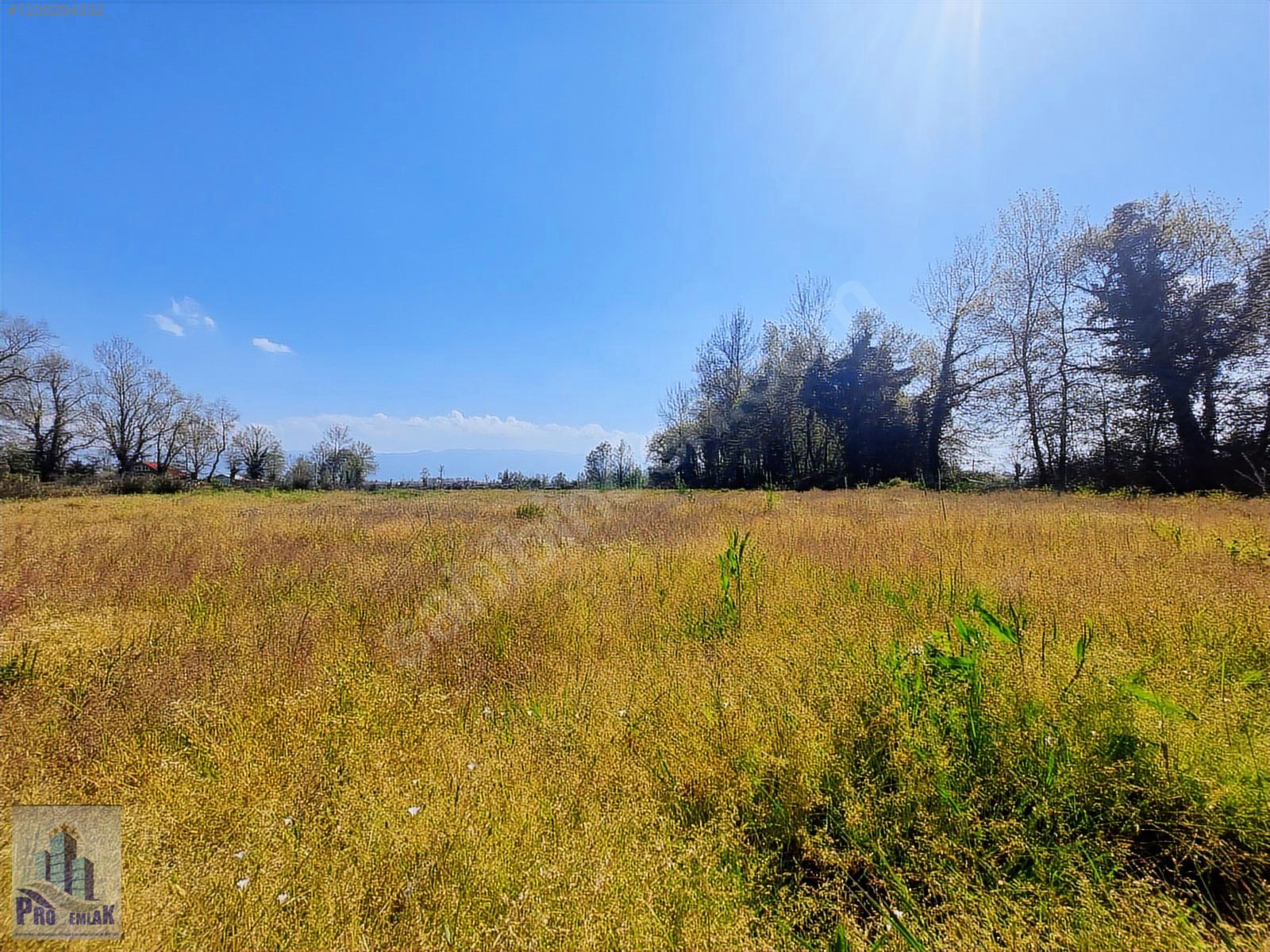 DÜZCE KONURALP 1904 M2 KONUT İMARLI ARSA 6 MİLYON TL - DÜZCE MERKEZ fotoğraf 7