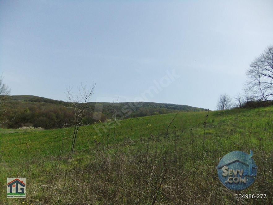 KOCAELİ/KANDIRA/AHMETHACILAR KÖYÜNDE SATILIK 2 PARSEL TARLA. - KOCAELİ KANDIRA fotoğraf 6