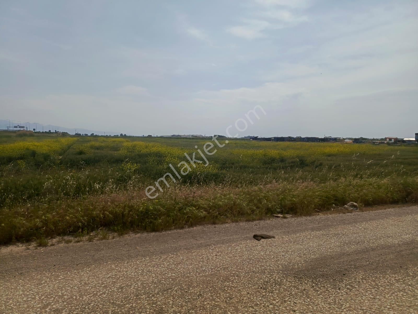 Kemalpaşa Da Satılık Osb Kemalpaşa Organize Sanayı Arsaları - İZMİR KEMALPAŞA fotoğraf 3