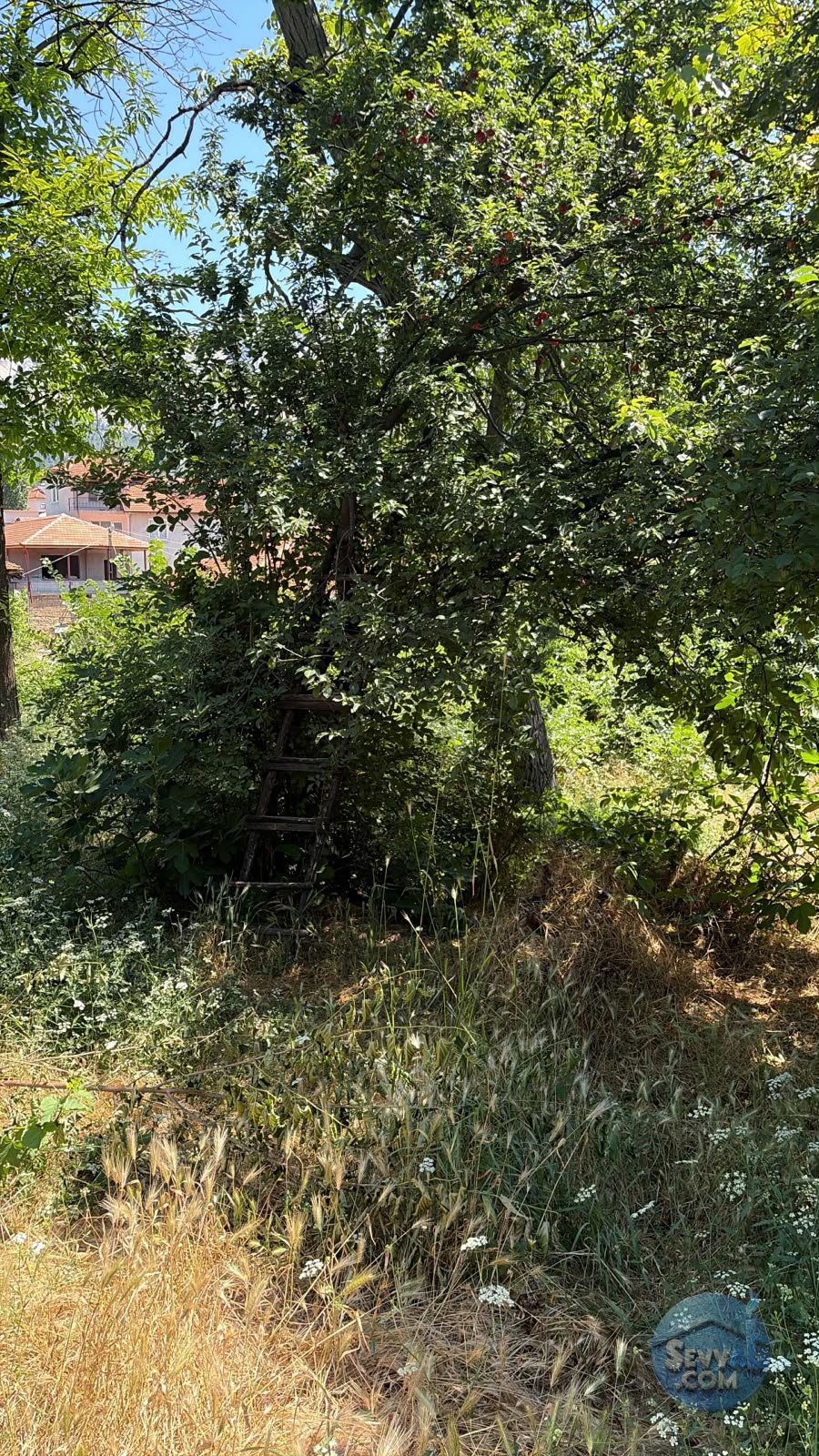 AĞLASUN SAKARCA MAHALLESİNDE SATILIK MUHTELİF ARSA - BURDUR AĞLASUN fotoğraf 8
